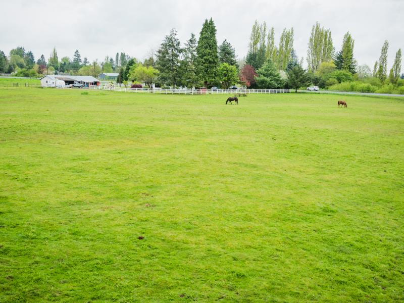 Beautiful Flat 9.67 acres in the Heart of Battle Ground WA 